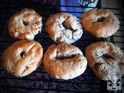 Made some gluten free bagels. They were a bit dense but not bad!