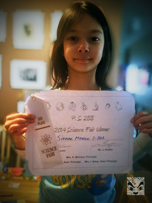 Her 3rd place certificate and ribbon.